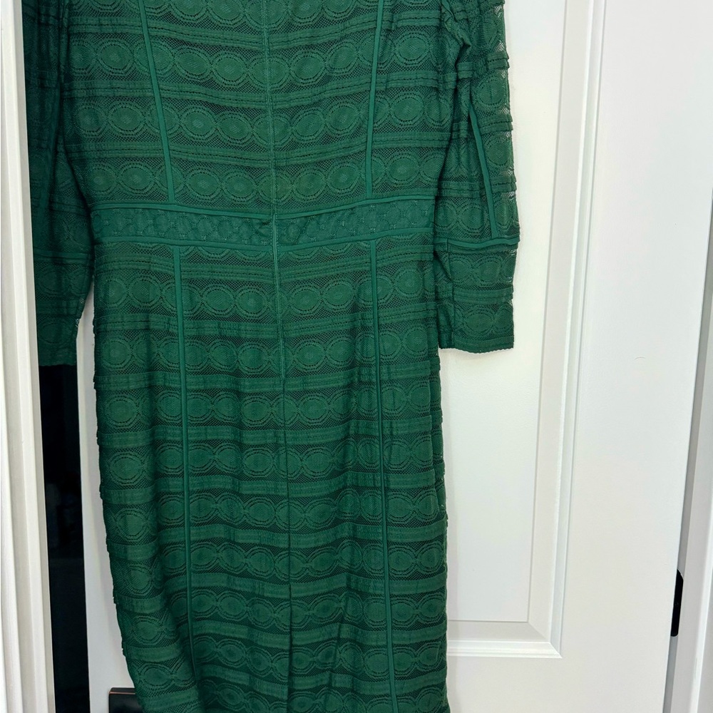 Beautiful Antonio Melani lace sleeve dress, form fitting.